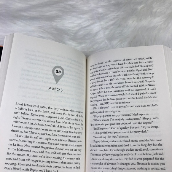 SOLD ๐ Book Layover by A. Andelson and E. Meyer - Picture 4 of 4